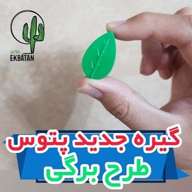 تصویر بسته 10 عددی گیره پتوس برای نظم دهی به گیاهان رونده در اپارتمان و حیاط 