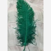 تصویر پر کلاخود پر علم پرتزئینی 