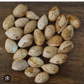 تصویر بادام فرانیس کاغذی 