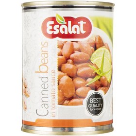 تصویر کنسرو خوراک لوبیا چیتی اصالت در سس گوجه فرنگی 380 گرم Esalat Canned Beans in Tomato Sauce 380g