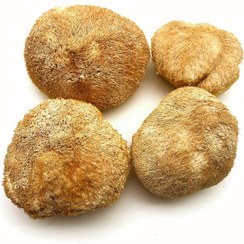 تصویر قارچ خشک یال شیر ۲۰۰ گرم 