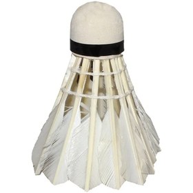 تصویر توپ بدمینتون پر 