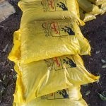 تصویر کود گلامیکس 