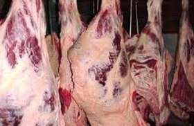 تصویر گوشت گاو و گوساله گرم 