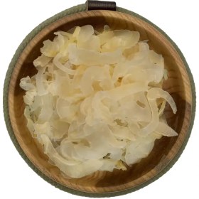 تصویر کتیرا صدفی 