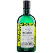 تصویر شامپو بدن پوست‌های چرب حاوی عصاره بامبو دیپ سنس 400 میلی لیتر BODY WASH FOR OILY SKIN 400ML DEEP SENSE