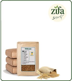 تصویر گندم خشک فله 