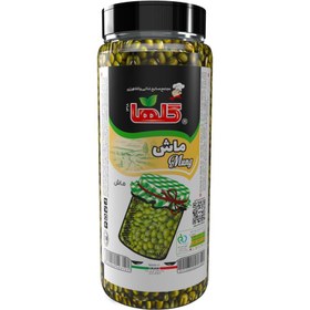 تصویر ماش گلها 500 گرم 