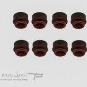 تصویر کاسه نمد (لاستیک) ساق سوپاپ تیبا - ویژن 