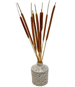 تصویر گل خشک لوئی 