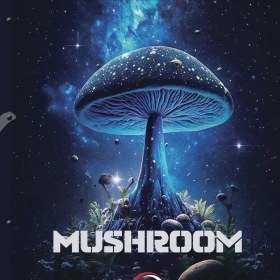 تصویر کاغذدیواری ماشروم درجه 1 بالاترین کیفیت ا Mushroom Mushroom