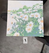 تصویر بوم نقاشی شماره دار 