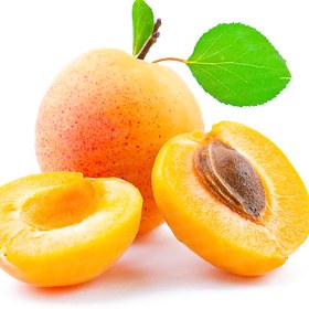 تصویر زرد آلو 