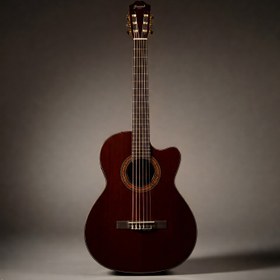 تصویر گیتار دیاموند Diamond giutar