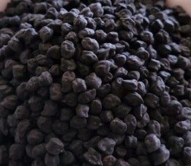 تصویر نخود سیاه 