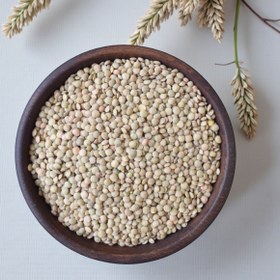 تصویر عدس ریز ایرانی 