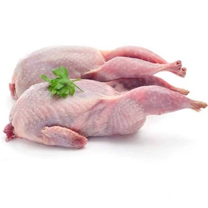 تصویر فروشگاه پالامی