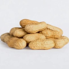 تصویر بادام زمینی با پوست خام 