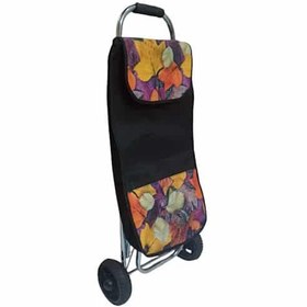 تصویر چرخ دستی خرید مدل خزان 