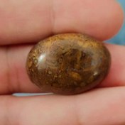 تصویر شجر پاییزه 