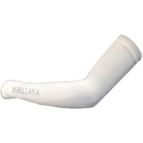 تصویر ساق دست هیمالیا 