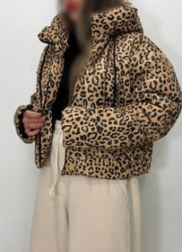 تصویر کاپشن پلنگی 