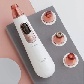 تصویر دستگاه پاکسازی پوست Wellskins WX-HT100 