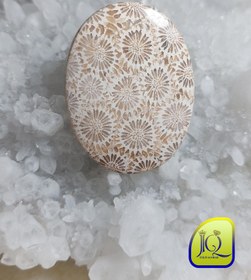 تصویر نگین فسیل مرجان اندونزی 