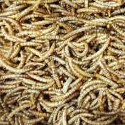 تصویر میلورم 10 کیلویی پس کرایه 