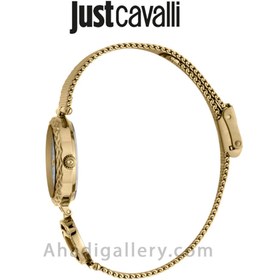 تصویر ساعت مچی عقربه ایی زنانه جاست کاوالی مدل JC1L103M0 Just Cavalli - JC1L103M0105 - Code: 4894626075346