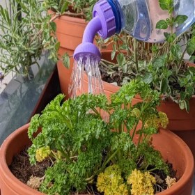 تصویر آب پاش گلدان کد 1019 