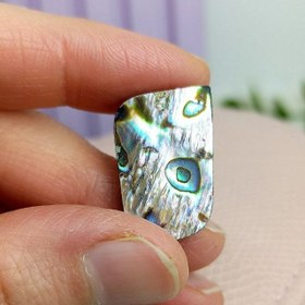 تصویر نگین صدف آبالون 