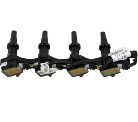 تصویر کویل رانا 