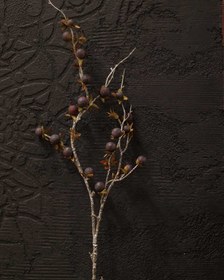 تصویر شاخه آلو وحشی ریز 