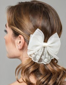 تصویر گلسر پاپیونی دانتل 