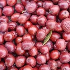 تصویر عناب درجه یک خراسان جنوبی 10 کیلوگرمی - 20 کیلو anab