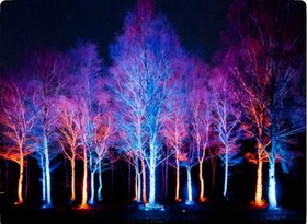 تصویر چراغ زیر درختی ( پرژکتور چمنی ) 