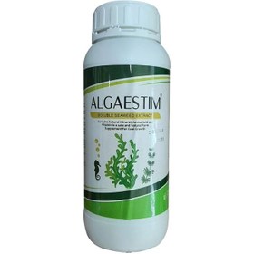 تصویر جلبک دریایی الگااستیم 