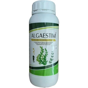 تصویر فروشگاه لوبیای سحر آمیز