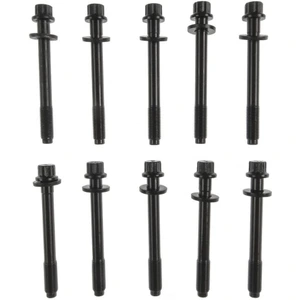 تصویر فروشگاه نیکی پارت استور