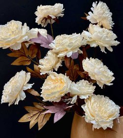 تصویر گل پیونی وارداتی-P02 