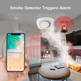 تصویر سنسور هوشمند دود GeekLink 