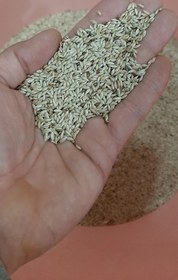 تصویر کتان درجه یک مغان 