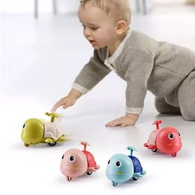 تصویر لاکپشت تندرو 