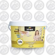 تصویر رنگ اکریلیک الوان مات ۱۲ کیلویی 