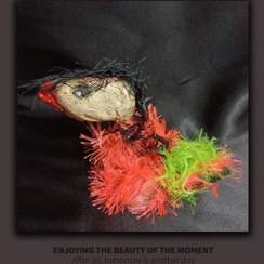 تصویر مجسمه عروسکی ( اردک فلفلی ) 