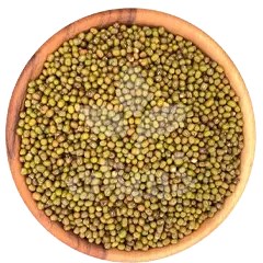 تصویر ماش سبز درجه یک 