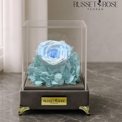 تصویر باکس ملانژ با گل رز جاودان آبی و سفید 