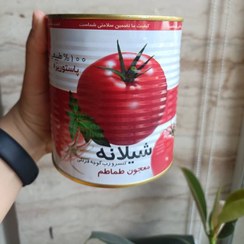 تصویر رب گوجه فرنگی شیلانه 800 گرمی 