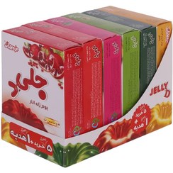 تصویر پودر ژله دراژه وزن ۱۰۰ گرم بسته ۶ عددی 